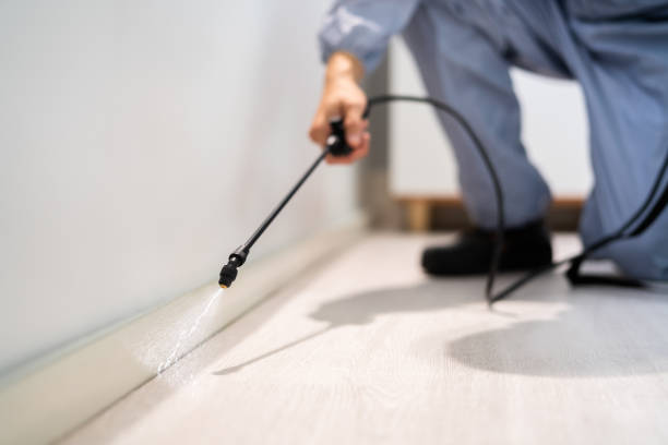 Licensed Mosquito Control service in Pasadena Hills, FL - Show Me Pest Control