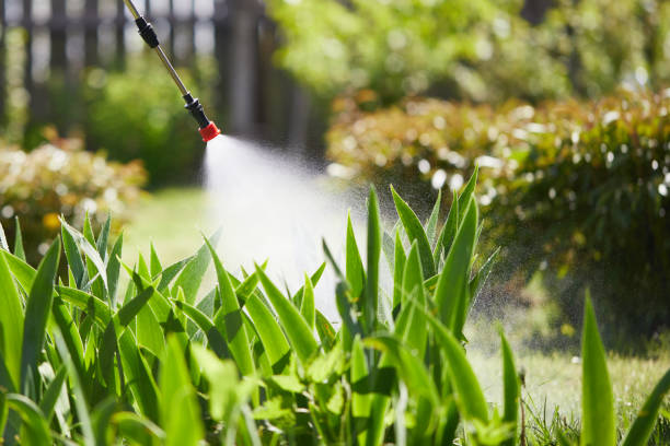 24/7 Emergency Mosquito Control experts in Pasadena Hills, FL