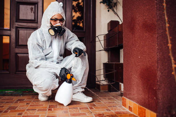 Reliable Mosquito Control contractor in Pasadena Hills, FL by Show Me Pest Control